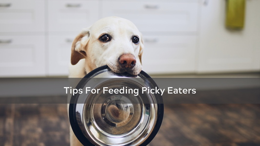Tips for picky eaters