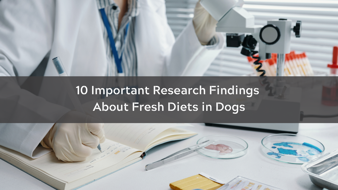 10 Important Research Findings About Fresh Diets in Dogs