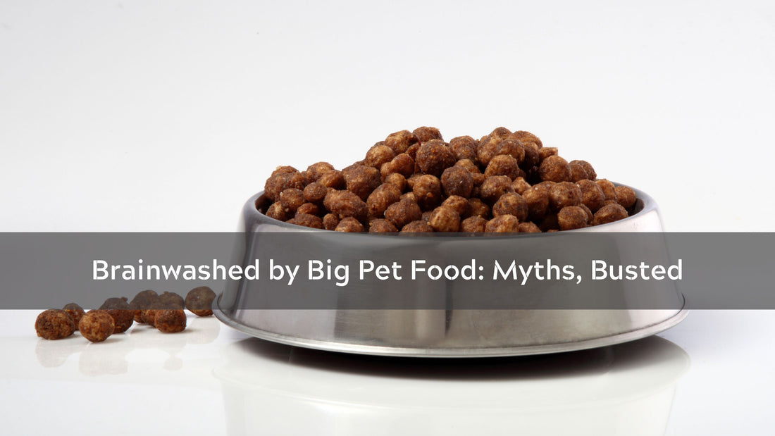 Brainwashed by Big Pet Food: Top Myths