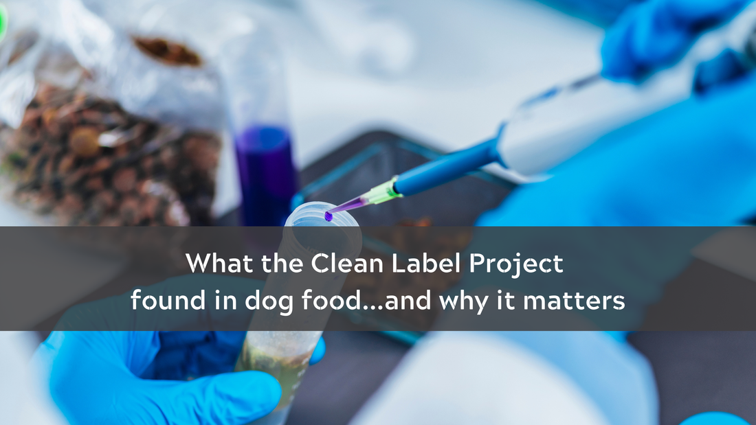 What the Clean Label Project found in dog food...and why it matters