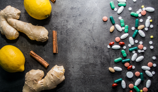 What are synthetics and fillers in dog food?