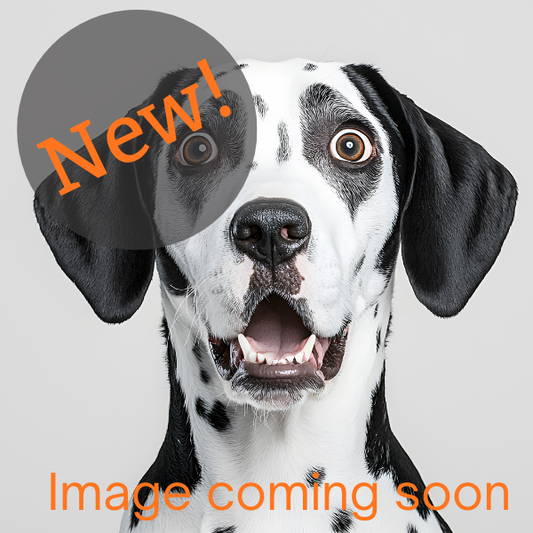 Beef + Sweet Potato Kidney Support Recipe